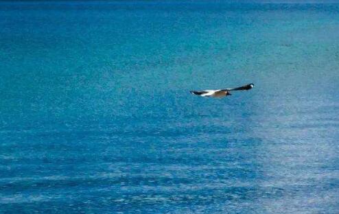 1592209732123974.jpg QQ截图20200615143201.jpg